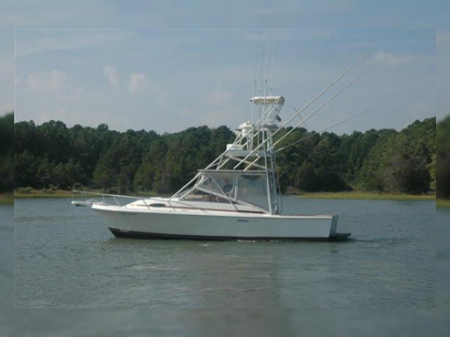 Kupić 1991 Blackfin 29 Combi
