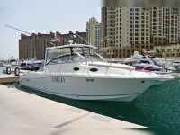 Striper 3301