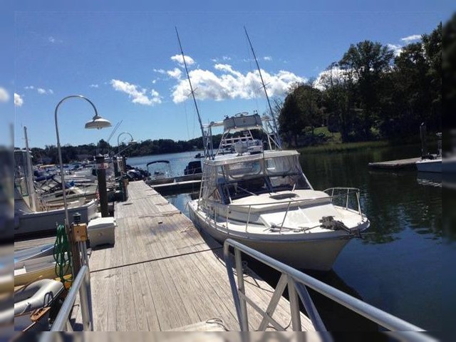 1985 Blackfin Combi for sale