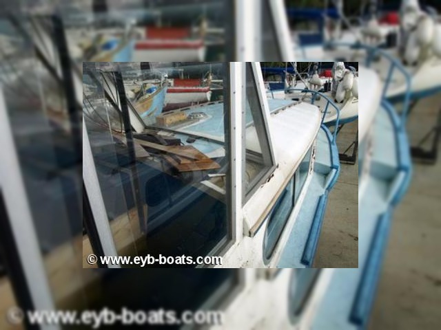 Buy 1961 Freeman30