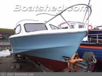 Shetland 535