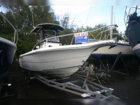 Sea Fox 230 CC