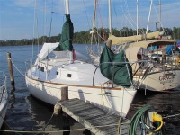 Morgan 35