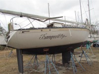 Seidelmann 25