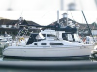 Legend 290
