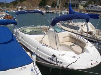 Chaparral Sunesta 234