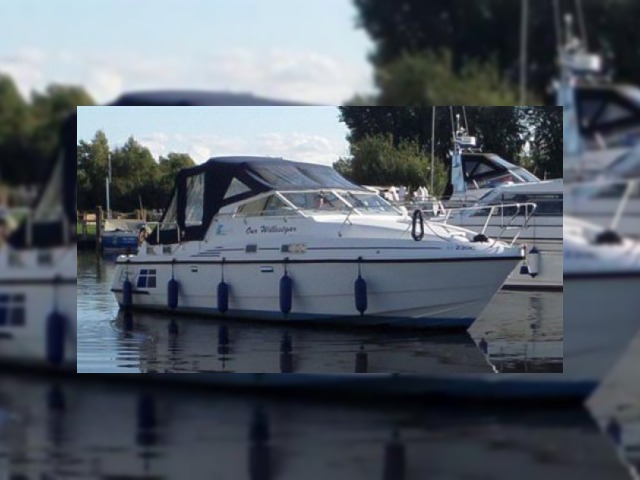 Shadow 33