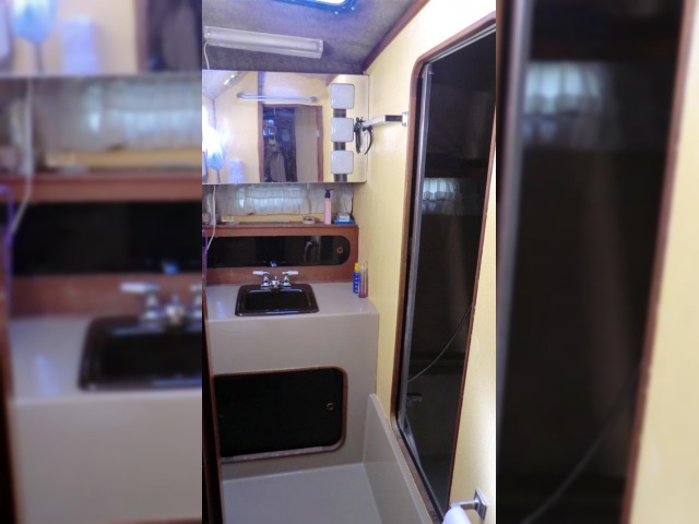 Buy 1984 Bayliner Explorer3870