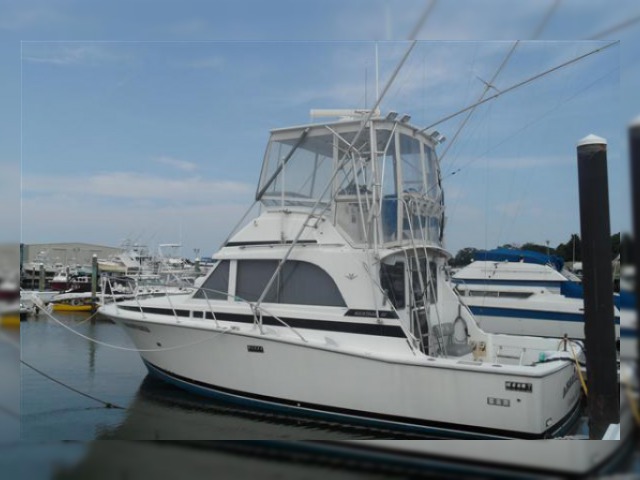 1984 Bertram 33