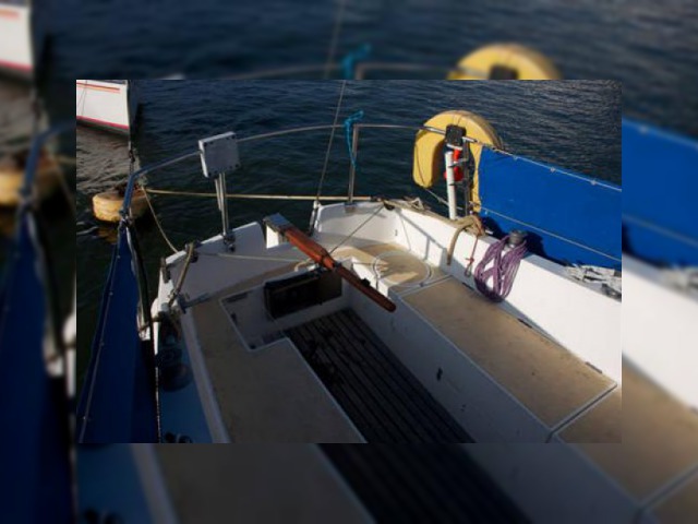 Buy 1978 Seamaster 815