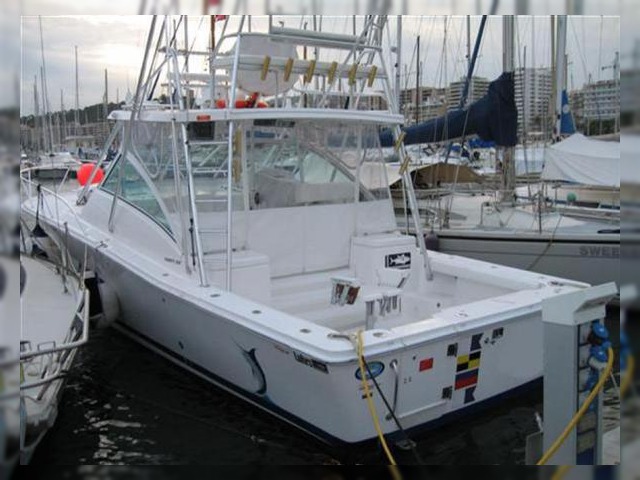 Luhrs 36 Open