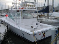 Luhrs 36 Open
