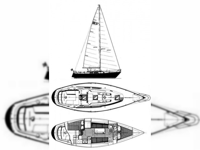 1981 C&C 37 kaufen