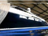 Alfamarine (It) 60