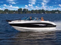 Chaparral 19 Ski & Fish