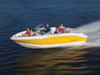 Chaparral 19 Sport