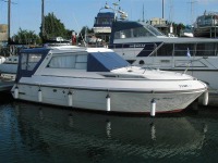 Alpha Craft 29