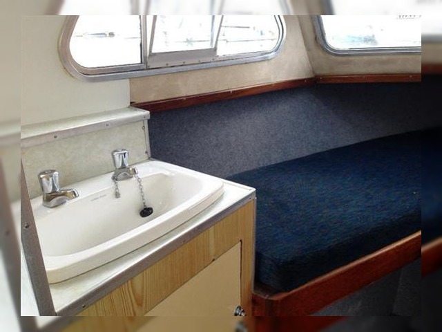 Elysian 27
