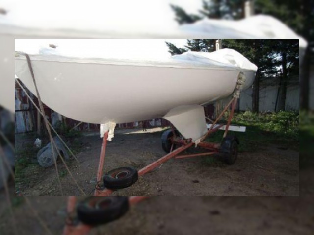 1980 Squib 19
