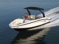 Chaparral 216