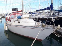 Morgan 32