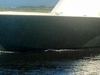 Custom Carolina Inspected Vessel Sportfish
