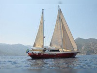 Tuzla Lux. Motor Sailor