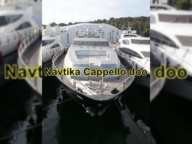 Buy 2010 Arno Leopard 34