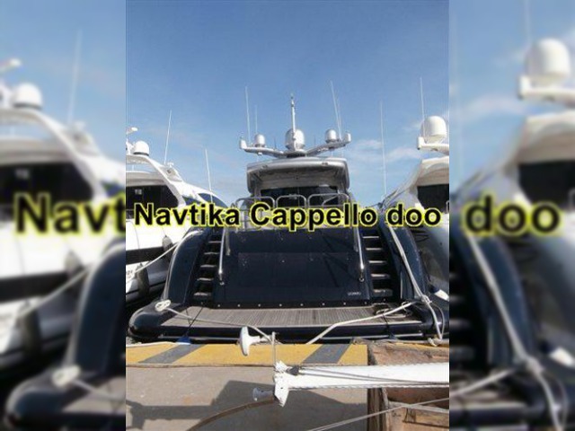 2010 Arno Leopard 34