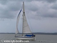  Mirage29