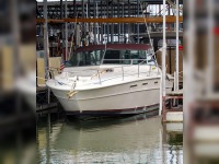 Sea Ray Express Cruiser