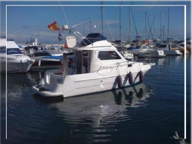 1980 Bertram 33