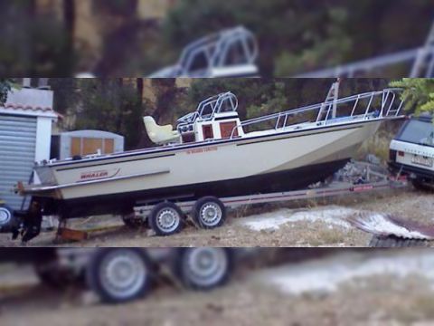 Boston Whaler 22 Outrage