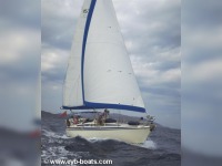 Maxi Yachts 38