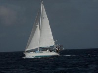 Gulf Star Hirsch 45