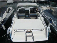 Baja Force 245