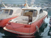 Mochi Craft 44 Dolphin