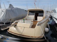 Mochi Craft 51 Dolphin