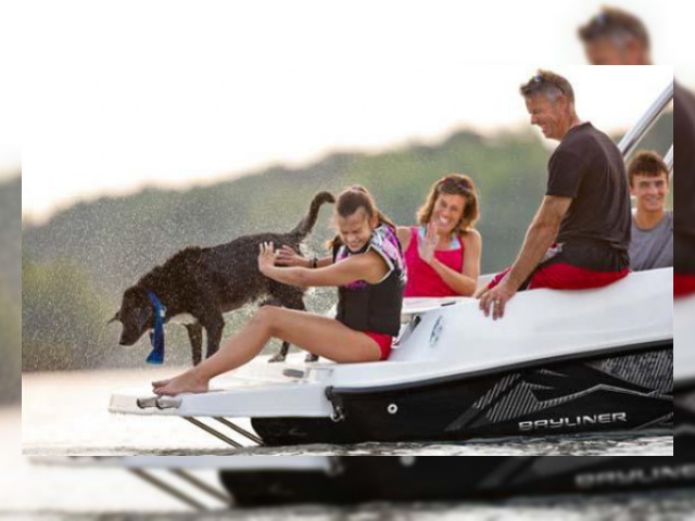 2014 Bayliner 175 for sale