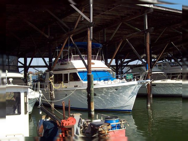 Buy 1991 Marine Trader