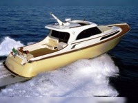 Mochi Craft 51 Dolphin