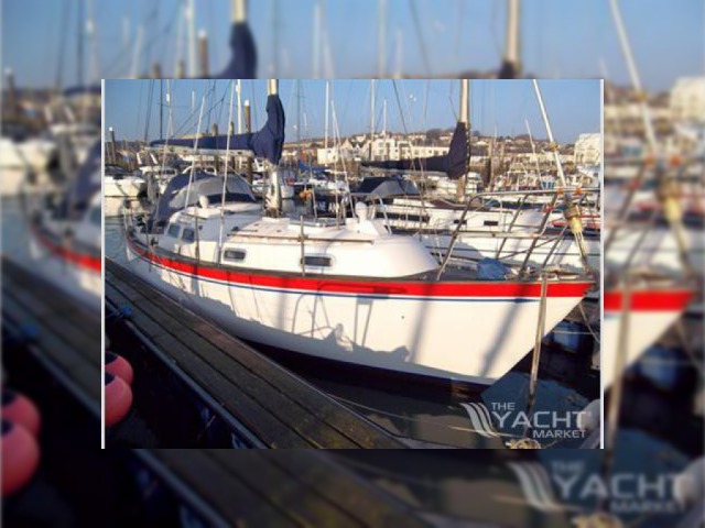 Salona 37