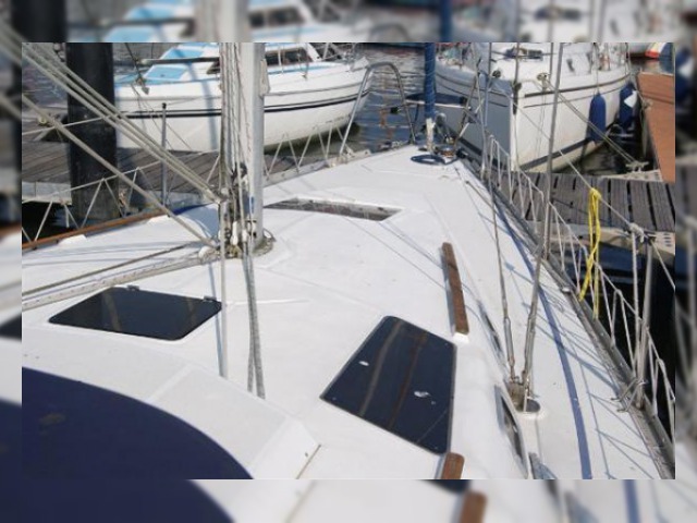 1994 Legend 35.5 for sale