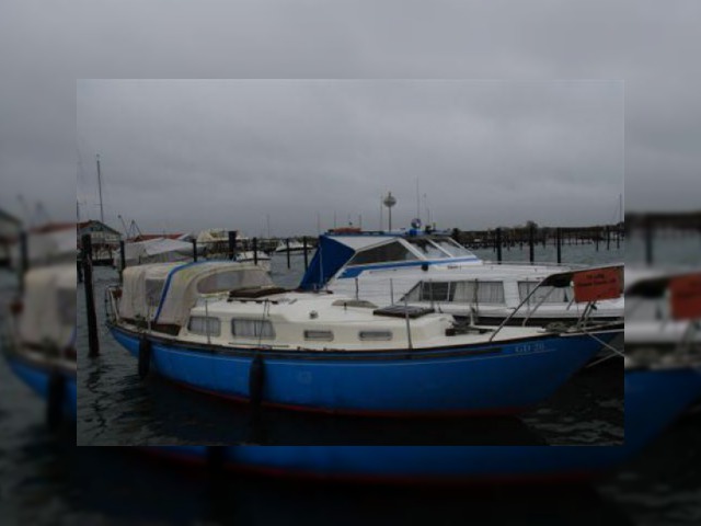 Købe 1970 Great Dane 28