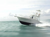 Luhrs 31 Open