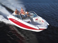 Chaparral 224
