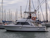 Phoenix Marine 33