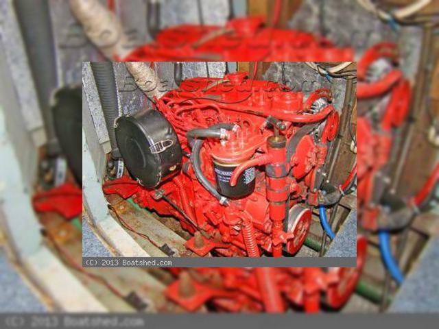 Rival 38
