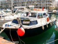 Aquastar 33 Fisherman