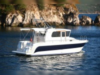 Viking Marin 285 Pilot